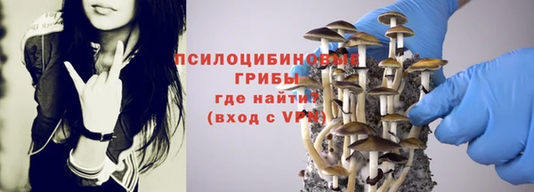 дурь Абаза