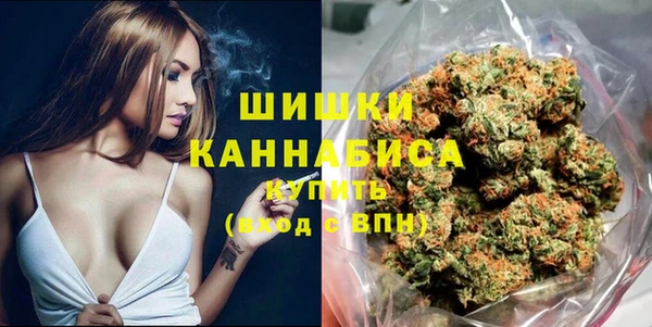 индика Абинск