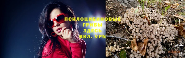 метадон Армянск