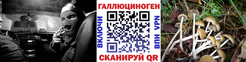 Галлюциногенные грибы GOLDEN TEACHER  MEGA онион  Тюкалинск 